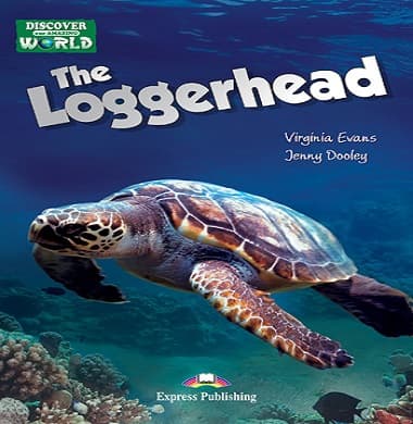 The Loggerhead