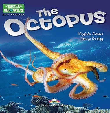 The Octopus