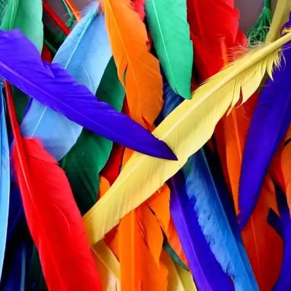 Feathers - Indian