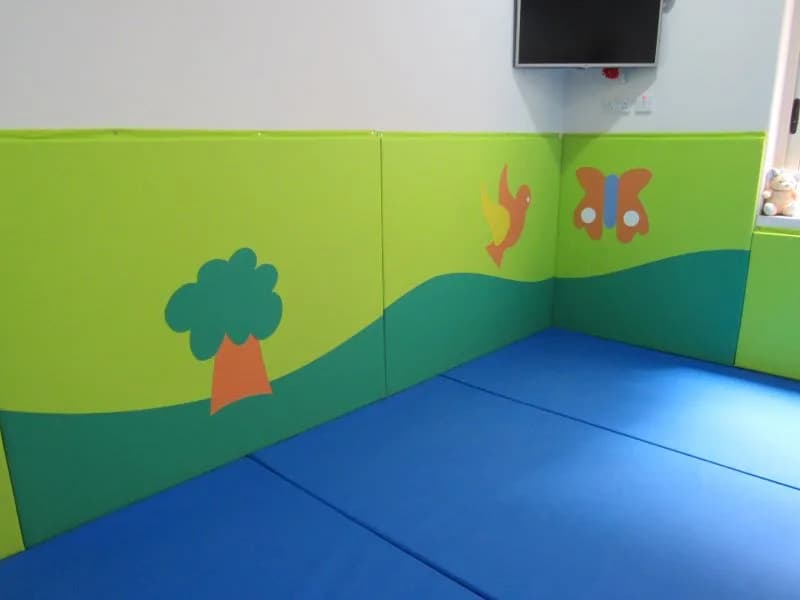 Indoor Wall Protection