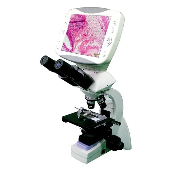 Microscope with screen