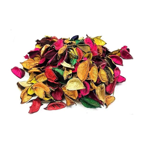 Leaves - Dried Colored