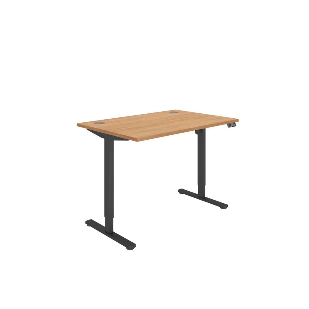 Rectangular Single Motor Sit Stand Desk
