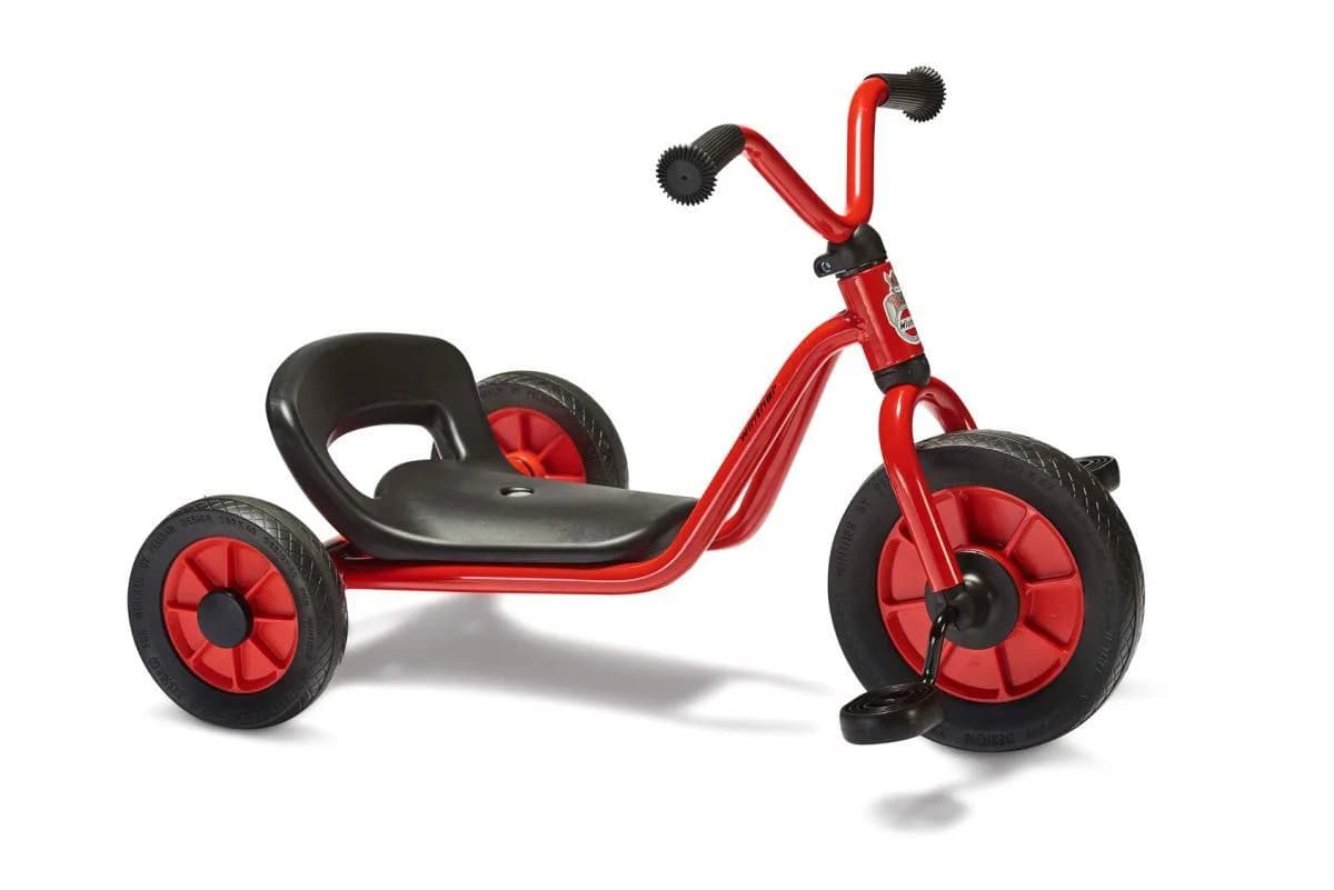 Mini Viking Easy Rider